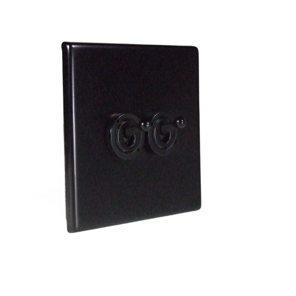 Matt Black Raised Metal Plate Double Intermediate Light Switch Matt Black Period Toggle