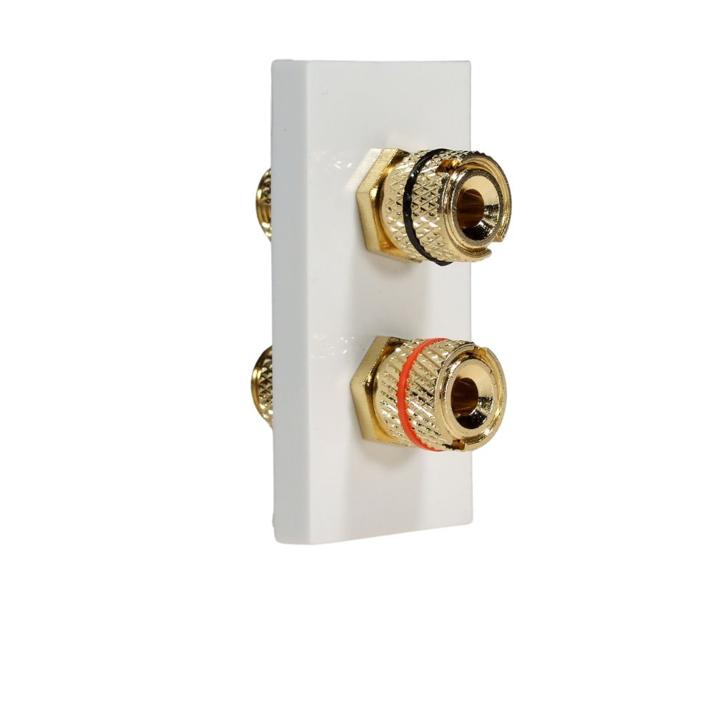 Speaker module 2 post White