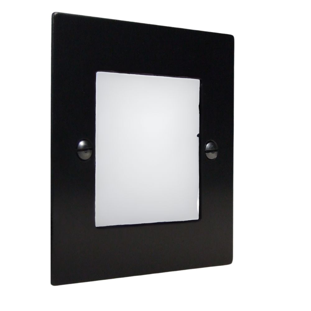 Satin Black Metal Flat Plate 2 Euro Module